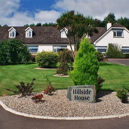Hillside House Bed & Breakfast Gorey Exterior foto