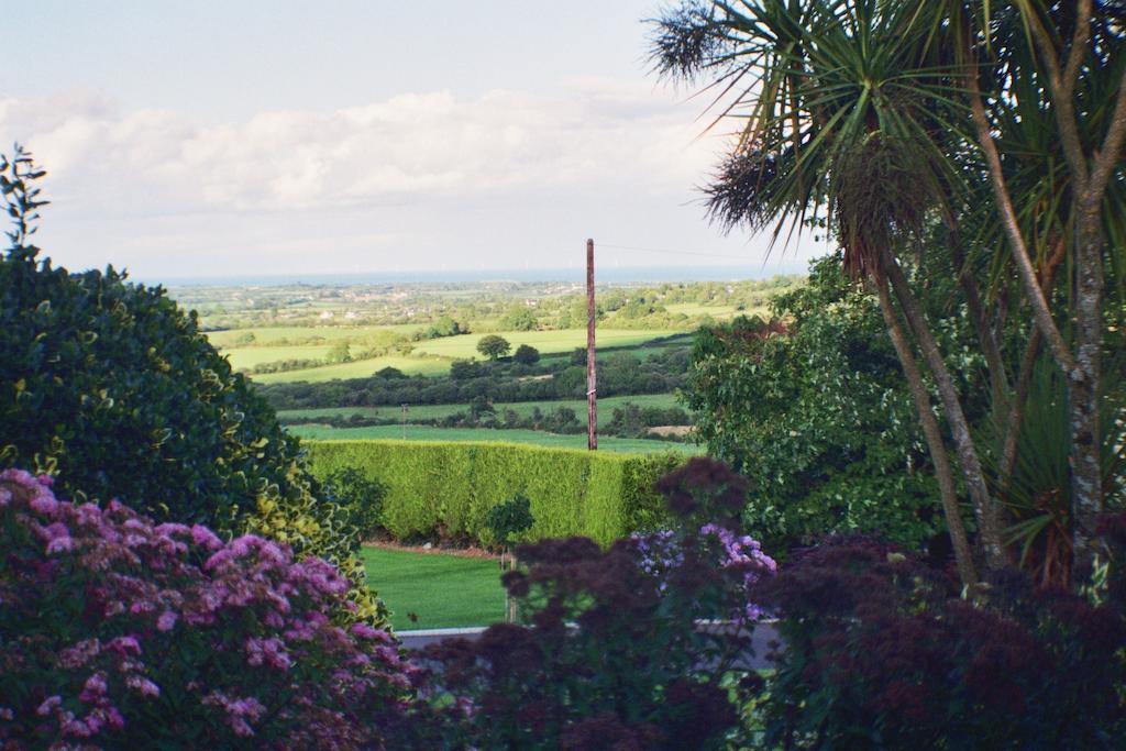 Hillside House Bed & Breakfast Gorey Exterior foto